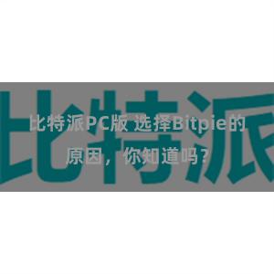 比特派PC版 选择Bitpie的原因，你知道吗？