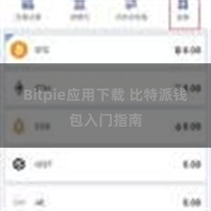 Bitpie应用下载 比特派钱包入门指南