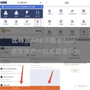 比特派APP下载 Bitpie: 数字资产一站式管理平台