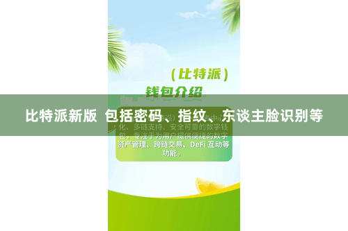 比特派新版  包括密码、指纹、东谈主脸识别等