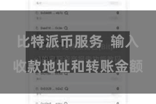 比特派币服务  输入收款地址和转账金额
