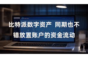 比特派数字资产 同期也不错放置账户的资金流动