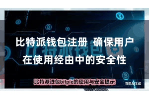比特派钱包注册  确保用户在使用经由中的安全性