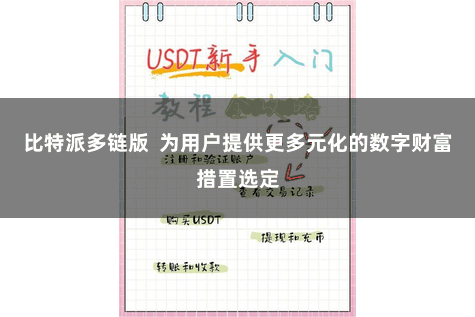 比特派多链版  为用户提供更多元化的数字财富措置选定